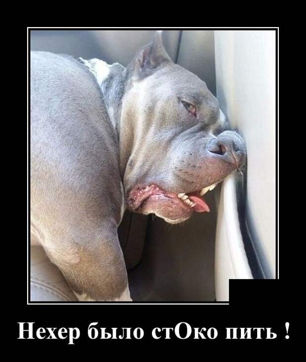 Демотиваторы (30 фото)