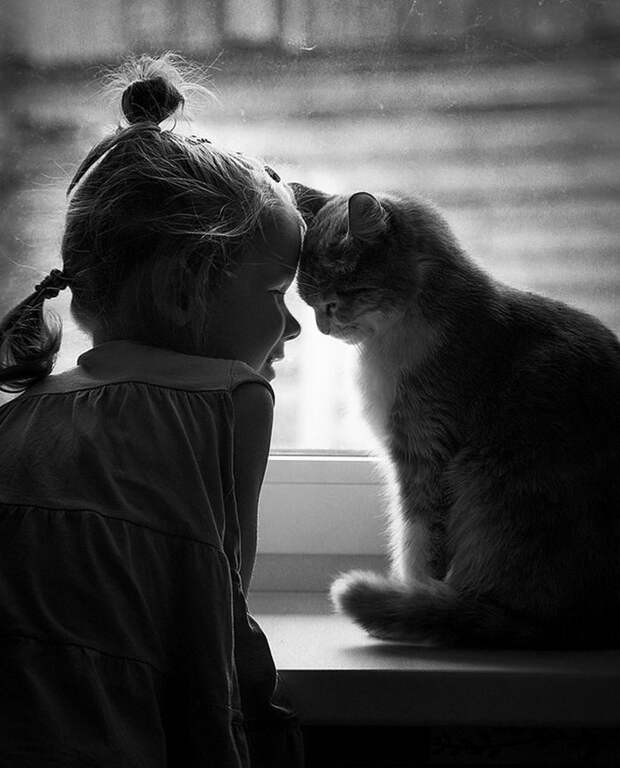 Дети и кошки