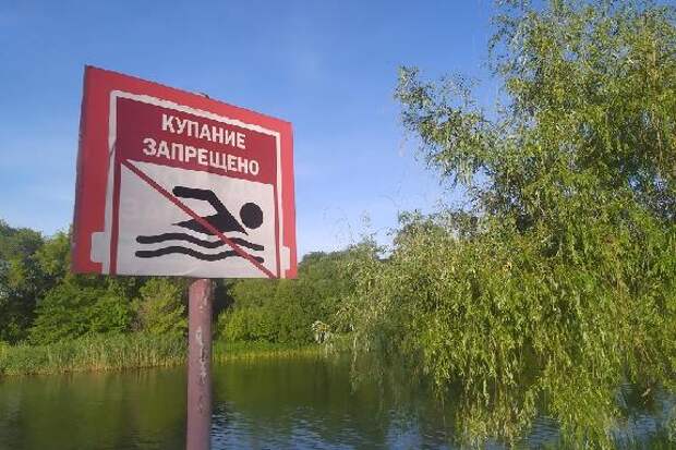 В Тамбовской области сократится количество пляжей