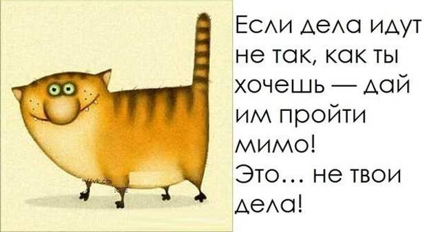 Всяко - разно 11 ))) Всяко - разно 11 )))
