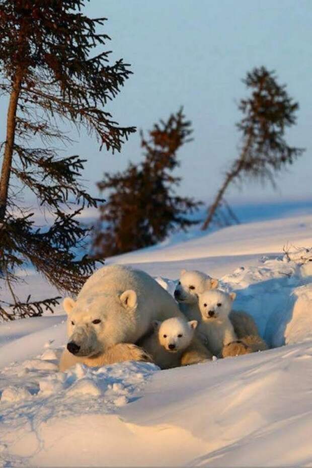 Всякое
