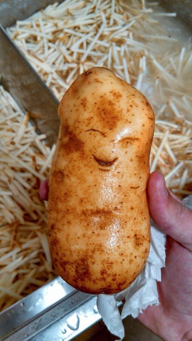 26. Счастливый картофель