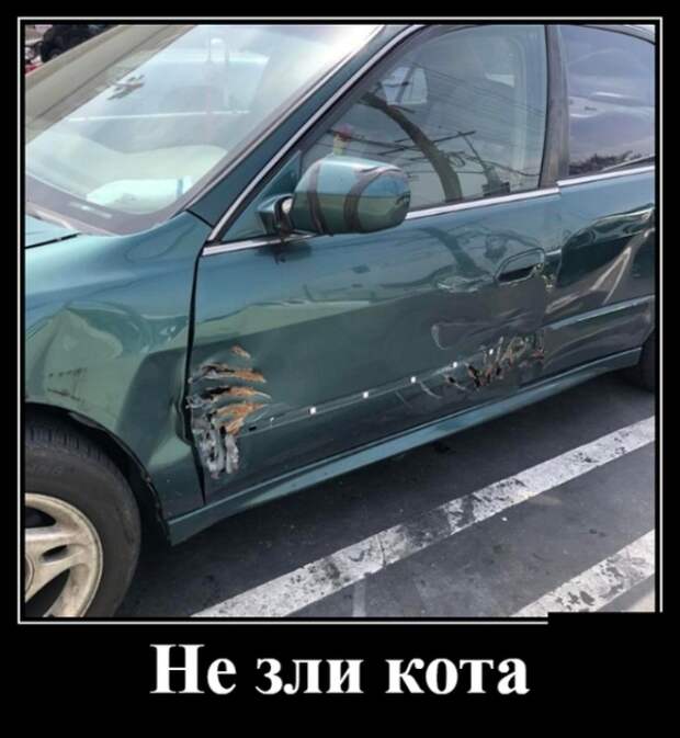 Демотиваторы (30 фото)