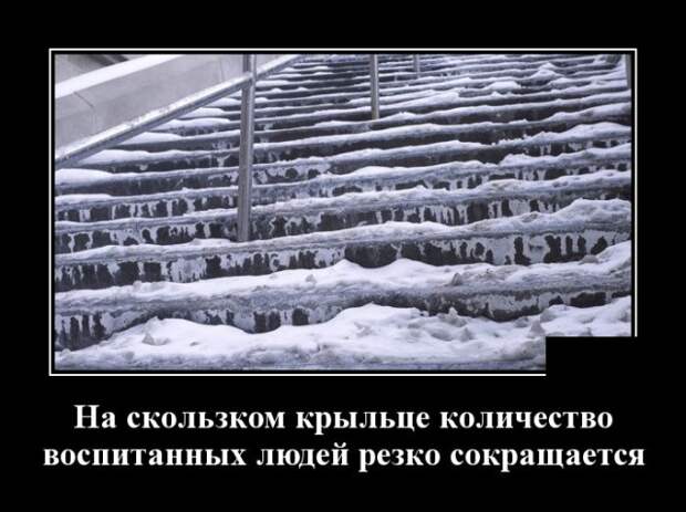 Демотиваторы (30 фото)