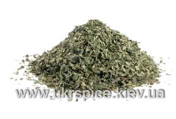 базилик, basil