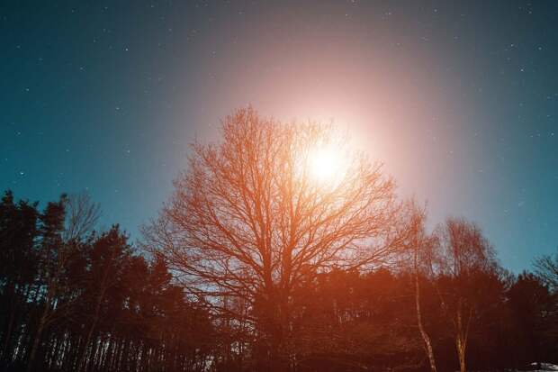 PLOS ONE: солнечный свет снижает риск риск депрессии у мужчин