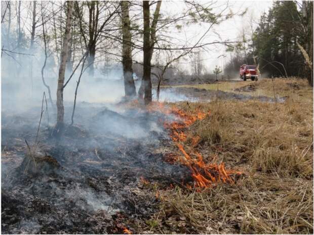 На территории лесного фонда Адыгеи установлено начало пожароопасного сезона