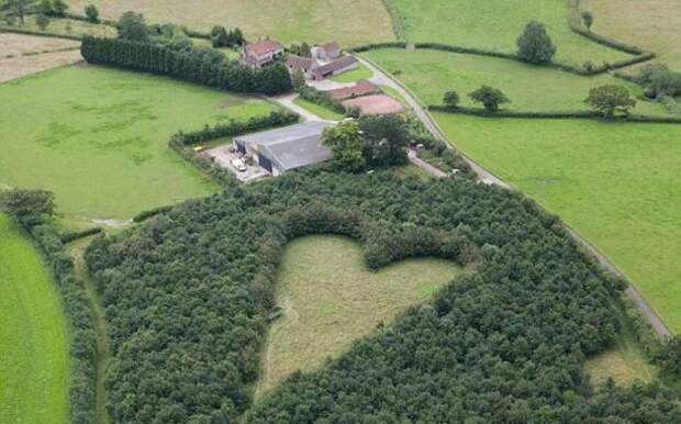 В память о жене