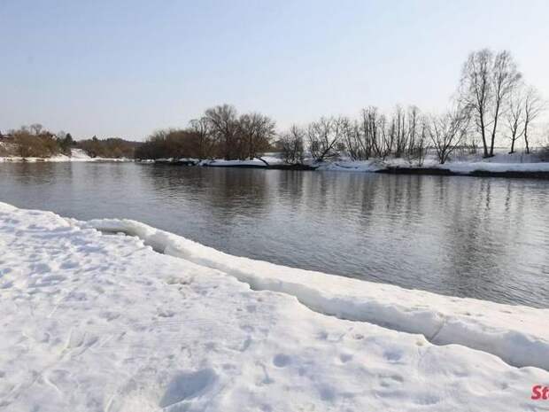 Найдено тело 13-летней Алины Арслановой, пропавшей в Звенигороде с друзьями