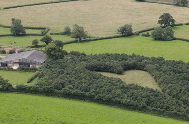 В память о жене