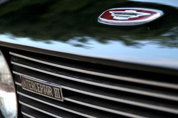 День коллекционеров в США (71 фото) День коллекционеров в США (71 фото)