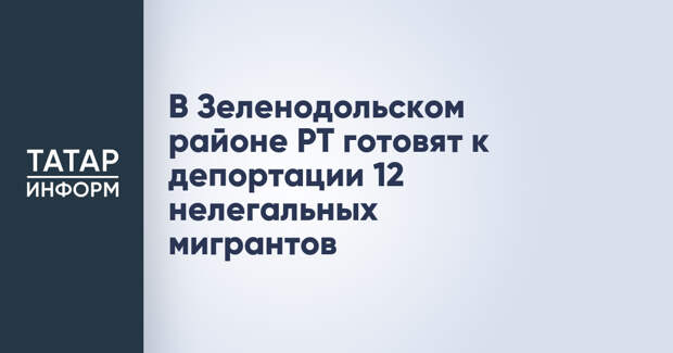 В Зеленодольском районе РТ готовят к депортации 12 нелегальных мигрантов
