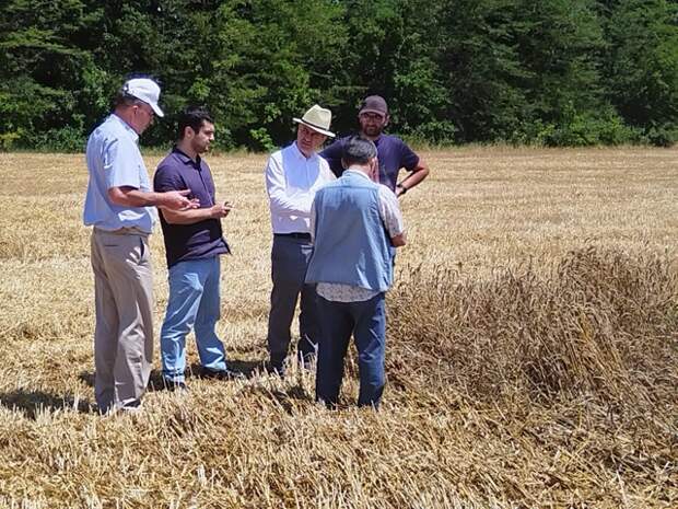 Министр сельского хозяйства Адыгеи Анзаур Куанов ознакомился с ходом уборки пшеницы урожая 2025 года