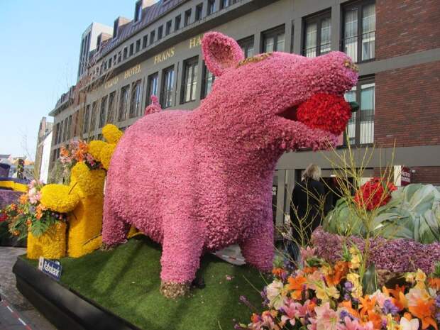 NewPix. ru - Голландский фестиваль цветов Bloemencorso