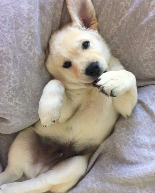 I Don't Want To Go Sleep... I Just Want To Play!