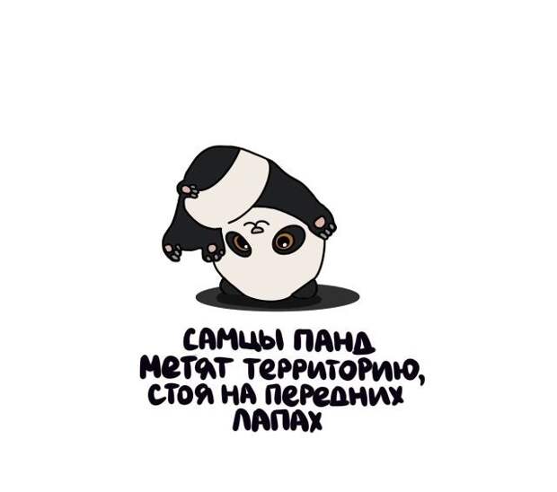 Короткие интересные факты на все случаи жизни