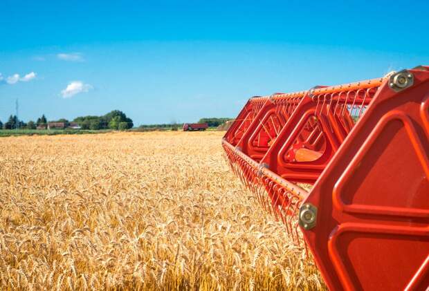 Рязанская область дополнительно получит более 185 млн рублей для поддержки производителей зерна