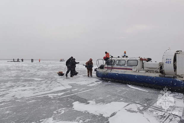 Гидрометцентр: лед покрыл всю акваторию Финского залива впервые за 15 лет