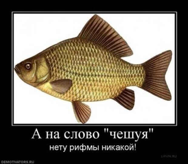 Есть свободная минутка? Удели ее смешным демотиваторам.