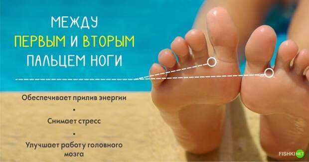 10 секретных точек на теле, благодаря которым можно использовать организм на все 100% долголетие, массаж, тело, точки на теле