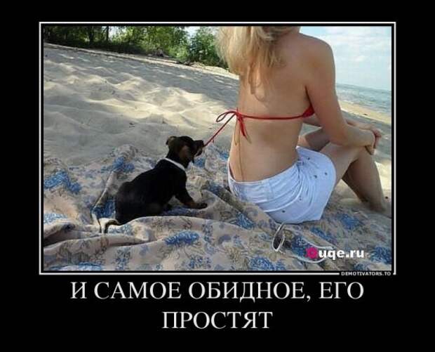 Демотиваторы (23 штуки)