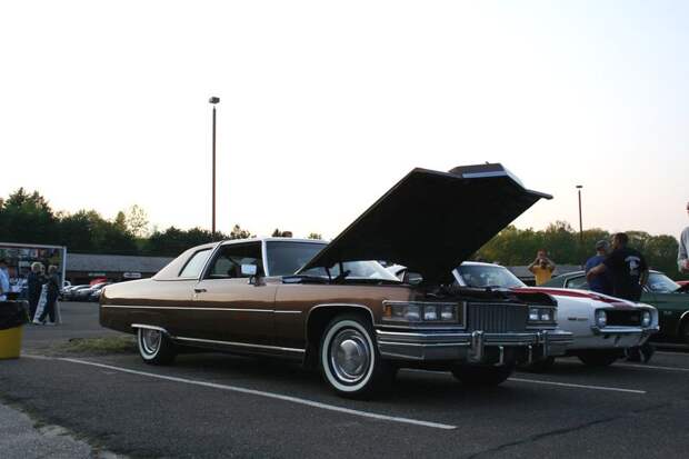 День коллекционеров в США (71 фото) День коллекционеров в США (71 фото)