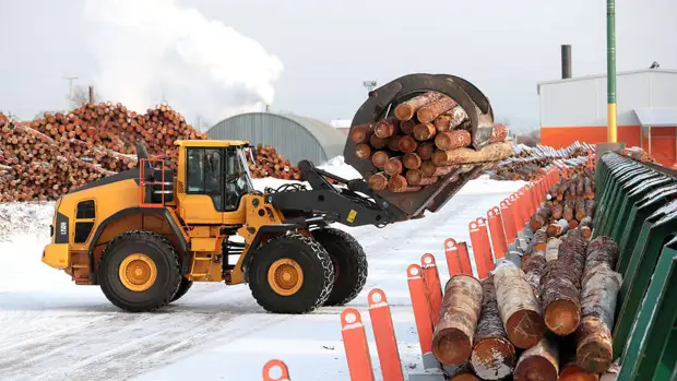 Финский деревопереработчик Stora Enso решил продать свои заводы в России