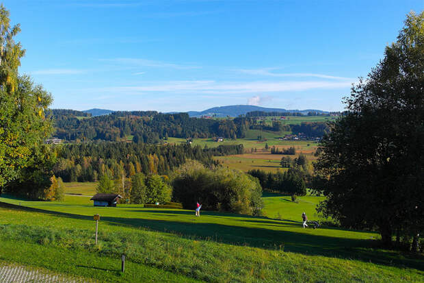 Почему Лужков уехал в Австрию
