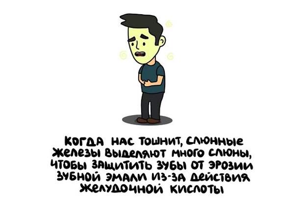 Интересные факты на все случаи жизни