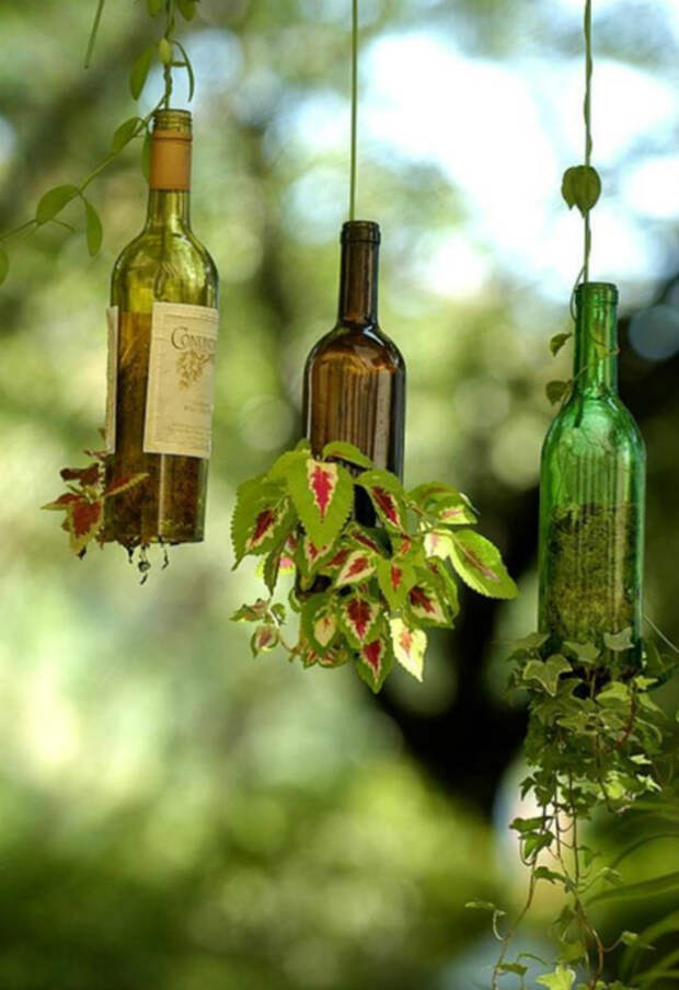 Подвесной сад в бутылках.
