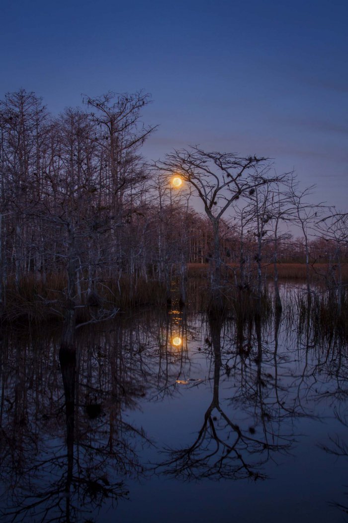 Все победители фотоконкурса «Focus on Nature 2014»
