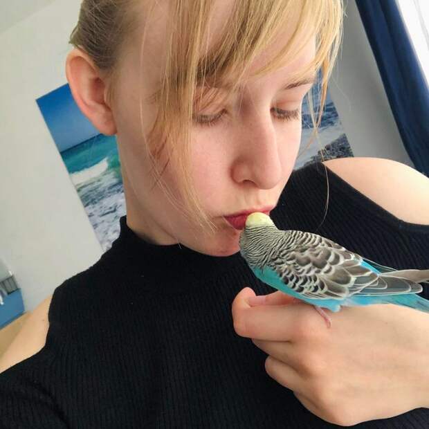 18 доказательств того, что попугаи тоже ласковые котики, только с перьями
