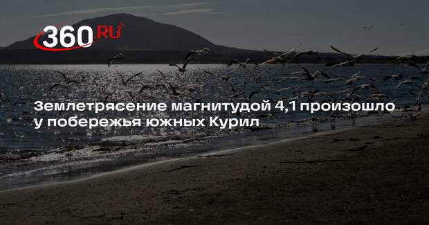 Землетрясение магнитудой 4,1 произошло у побережья южных Курил