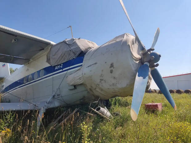 Самолёты Ан-2 и Л-410 предложили переоснастить для борьбы с вражескими дронами