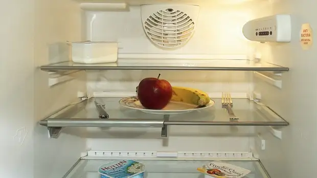 Телеведущий Малозёмов напомнил о важности своевременной разморозки холодильника