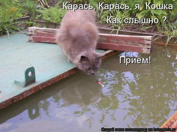 normal_foto_106_20100627_2002940982 (639x479, 64Kb)