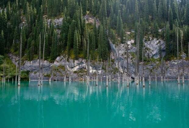 Загадки озера Каинды в Алматинской области Каинды, озеро, природа, факты
