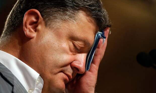 Порошенко рассказал Меркель, как Украина проходит "трагический тест" Порошенко рассказал Меркель, как Украина проходит "трагический тест"