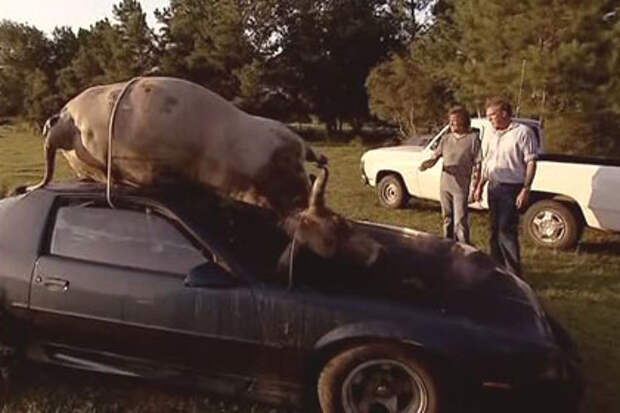 Кадр из программы Top Gear