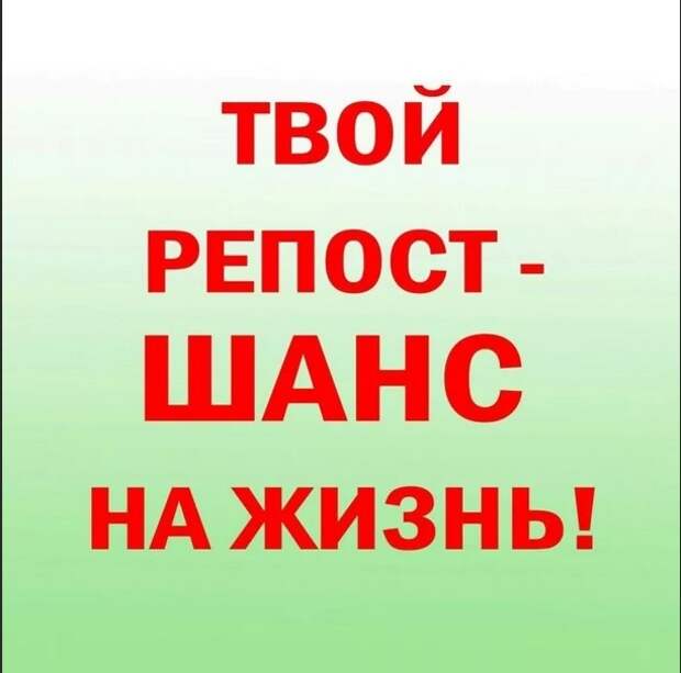 Помогите!!! Два её малыша ютятся на лестнице, прячась от недоброжелательных жильцов, настроенных против.