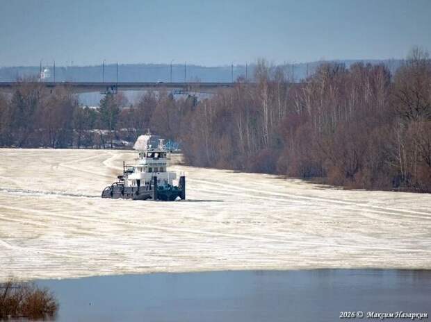 Теплоход «Коломенский-803» начал ледокольные работы в Касимове