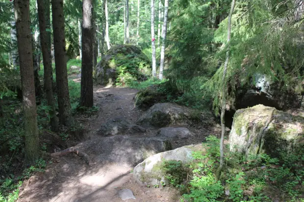 "Тянутся сосны в прозрачное небо, глыбы гранита заснули давно..." Парк Монрепо в Выборге