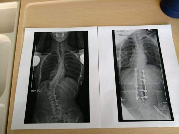 Ещё 9 убедительных фотодоказательств того, что всё познаётся в сравнении