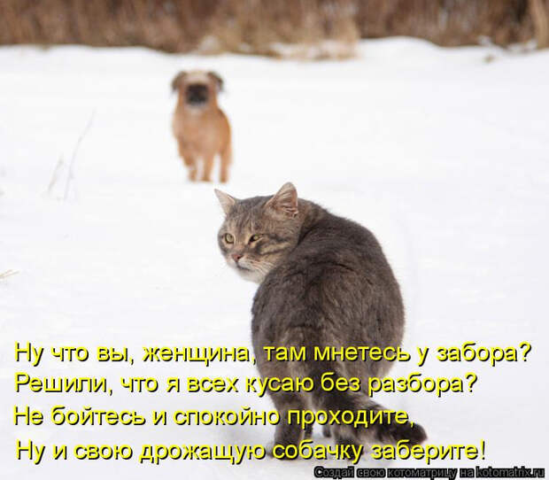 kotomatritsa_0r (700x612, 313Kb)