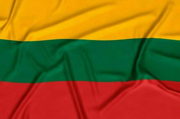 Действующий президент Науседа победил в первом туре выборов в Литве
