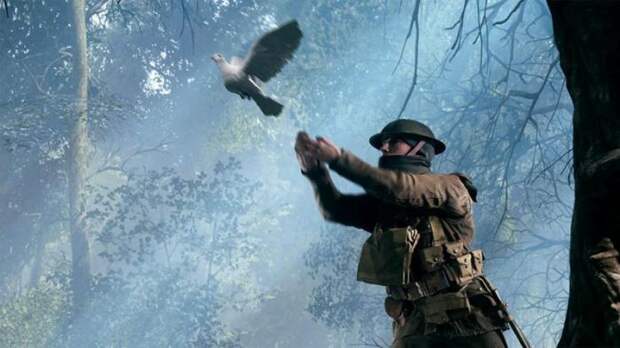 В Battlefield 1 можно сыграть за почтового голубя