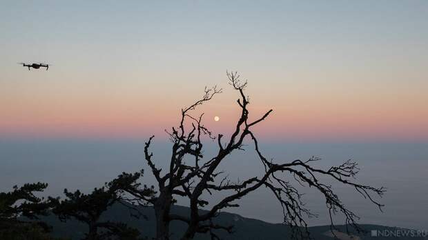 Ночью над регионами России сбито 99 вражеских дронов