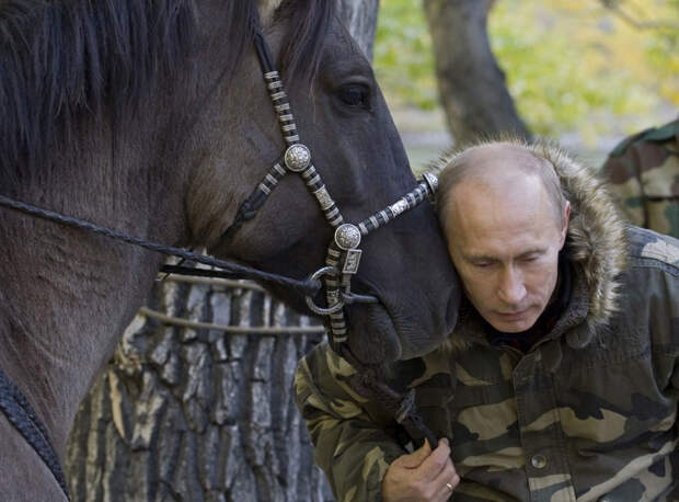 20 самых ярких фотографий Путина с животными