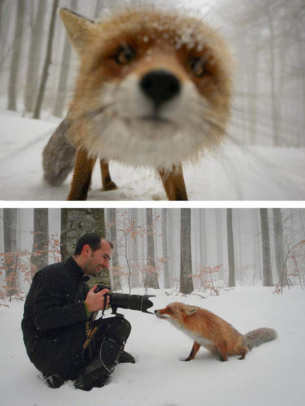 Как снимают красивые фотографии