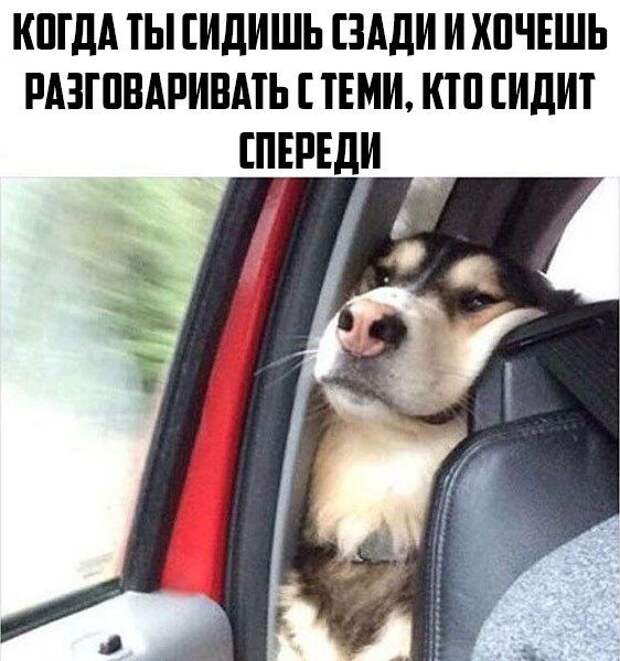 Забавные картинки с надписями для веселья (11 фото) Забавные картинки с надписями для веселья (11 фото)